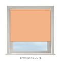 brzoskwinia 2071.png