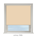 cielisty7496.png